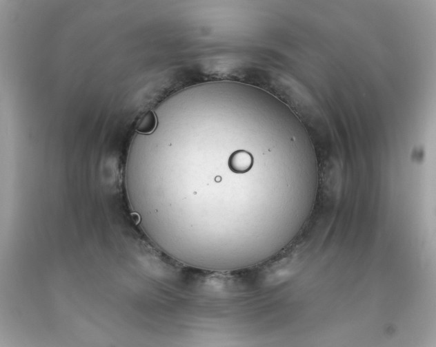 X0000091570420200709051043