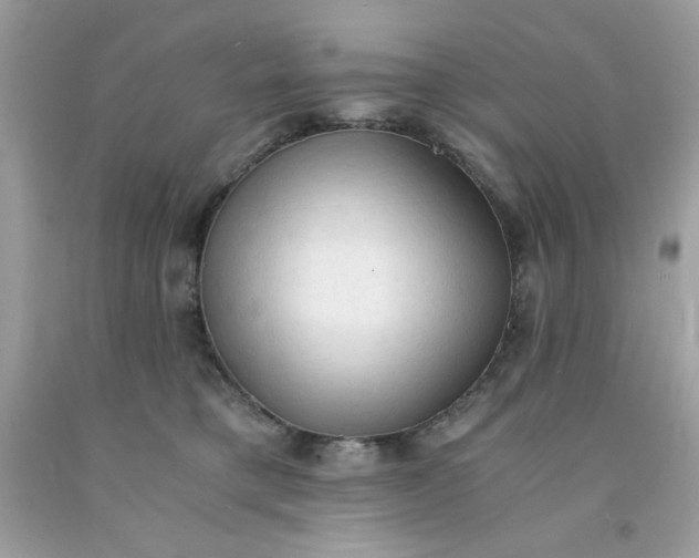 X0000091570421200709051043