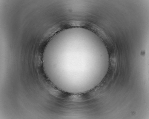 X0000091570422200709051043