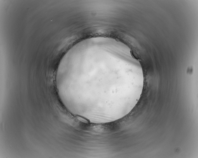 X0000091570423200709051043