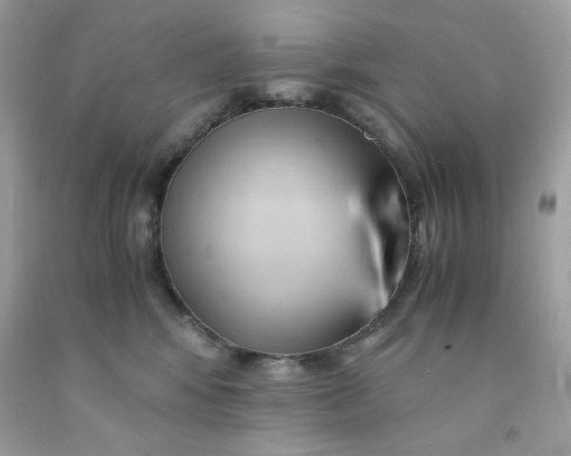 X0000091570424200709051043