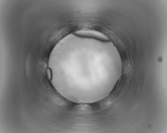 X0000091570427200709051043