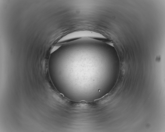 X0000091570428200709051043