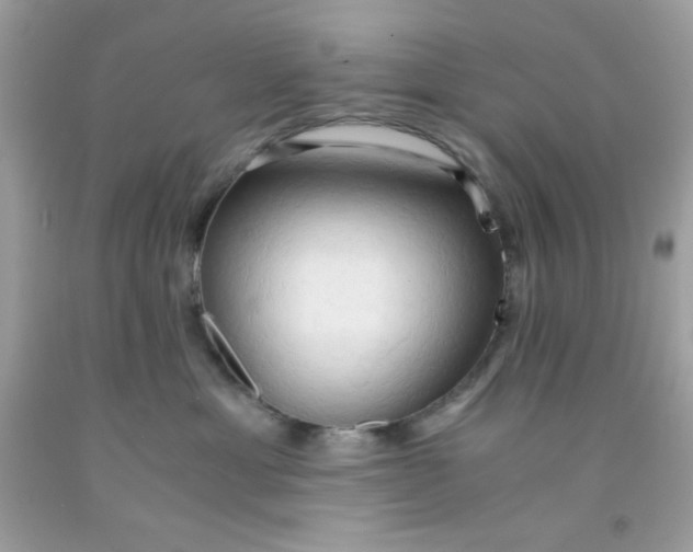 X0000091570429200709051043