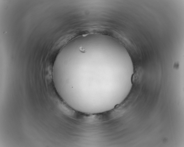 X0000091570430200709051043
