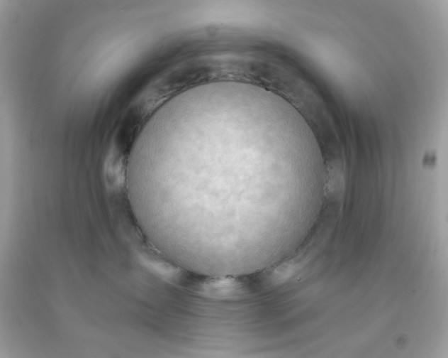 X0000091570431200709051043