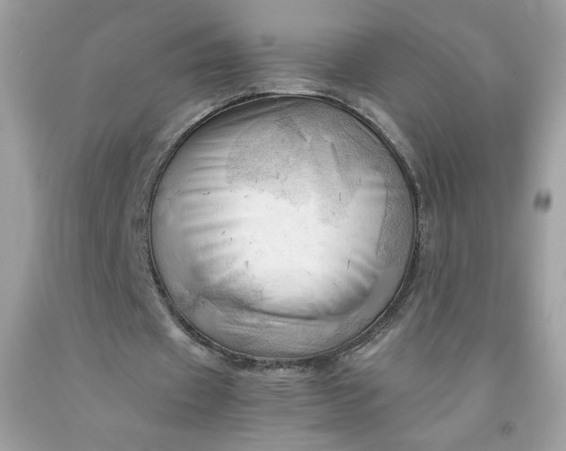 X0000091570433200709051042