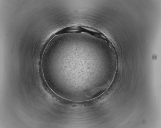 X0000091570434200709051042