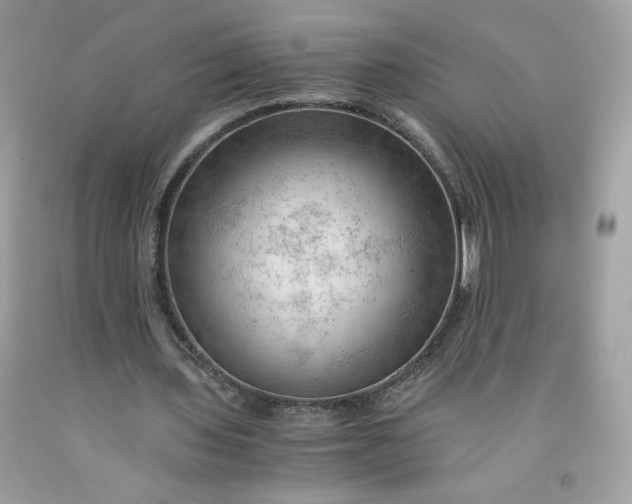 X0000091570435200709051042