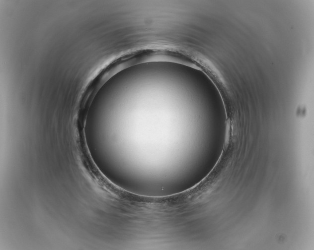 X0000091570436200709051042