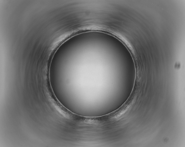 X0000091570437200709051042
