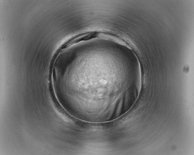 X0000091570438200709051042