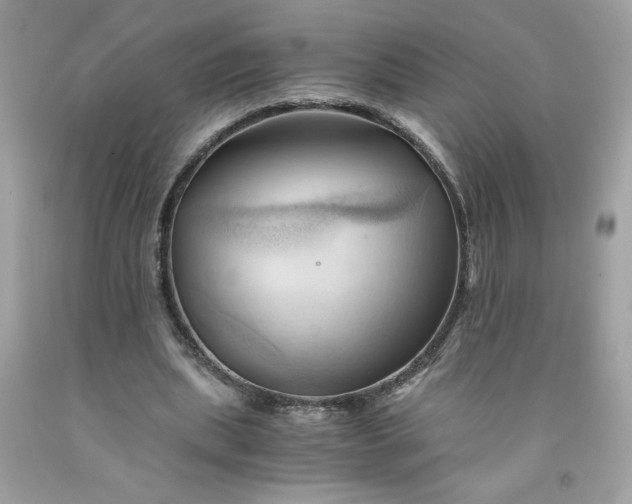 X0000091570439200709051042