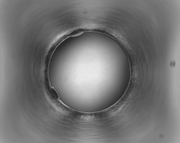 X0000091570440200709051042