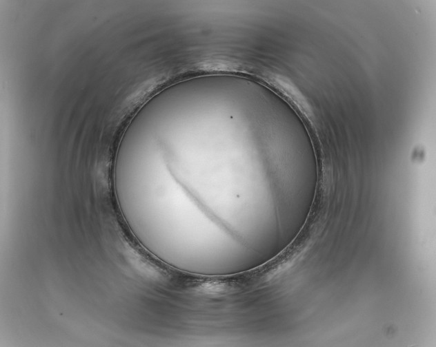 X0000091570441200709051042