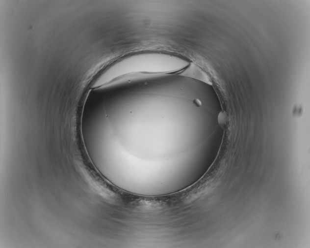 X0000091570442200709051042