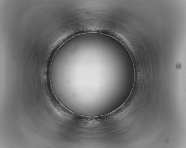 X0000091570443200709051042