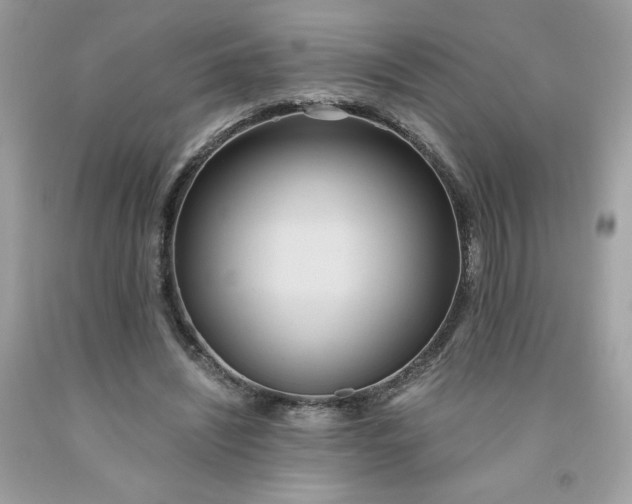 X0000091570444200709051042