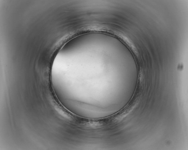 X0000091570445200709051042
