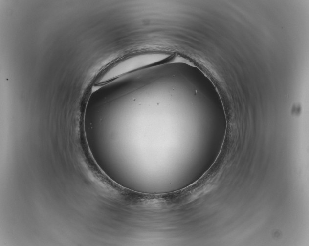 X0000091570446200709051042