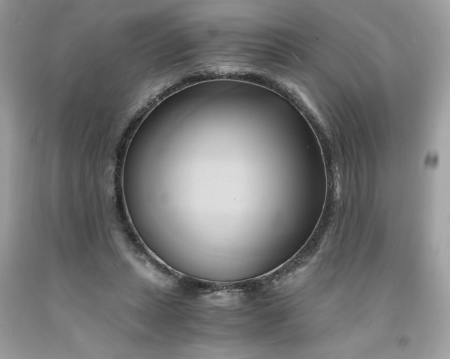 X0000091570447200709051042