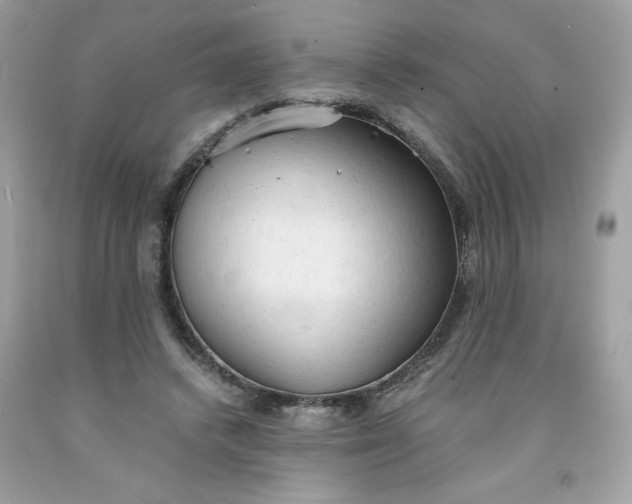 X0000091570448200709051043