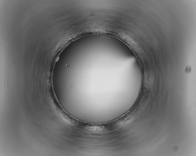 X0000091570449200709051043
