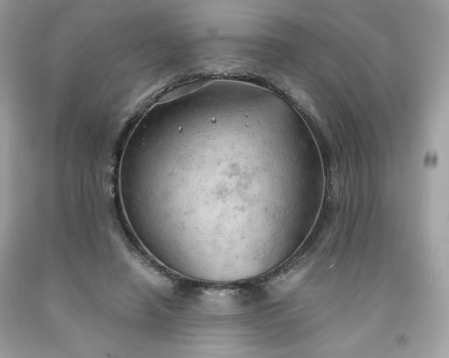 X0000091570450200709051043