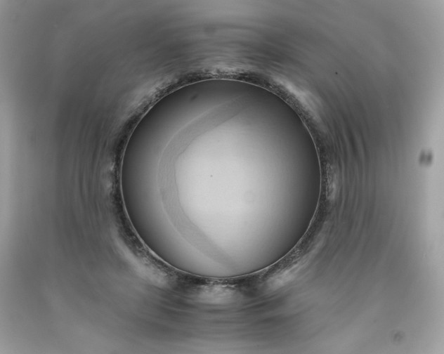 X0000091570451200709051043