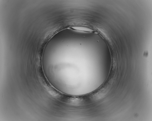 X0000091570453200709051043