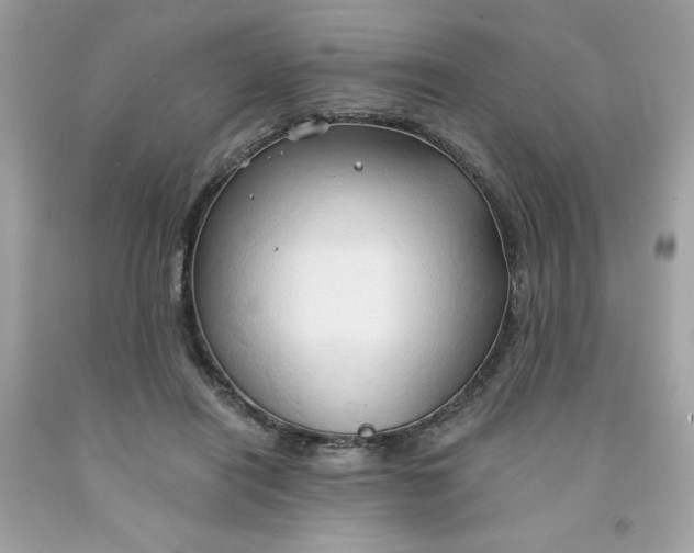 X0000091570454200709051043
