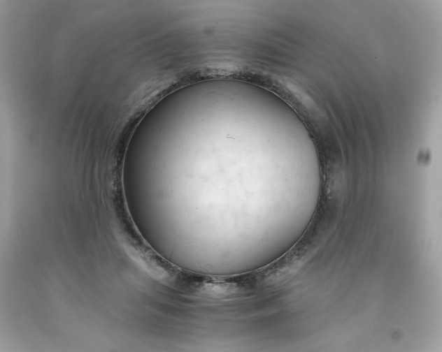 X0000091570455200709051043