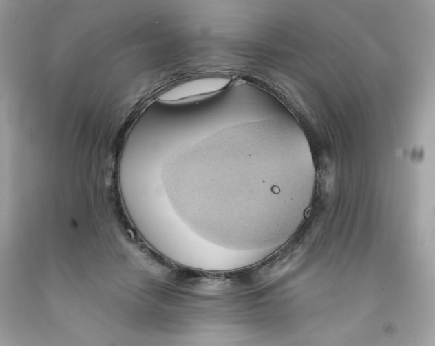 X0000091570458200709051043