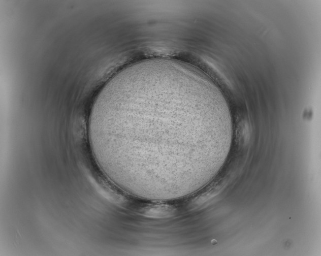 X0000091570459200709051043