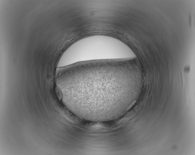X0000091570460200709051043