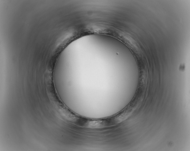 X0000091570461200709051043
