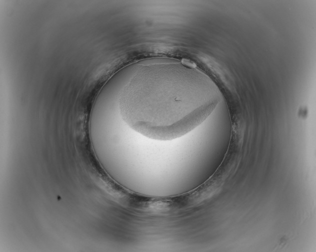 X0000091570462200709051043