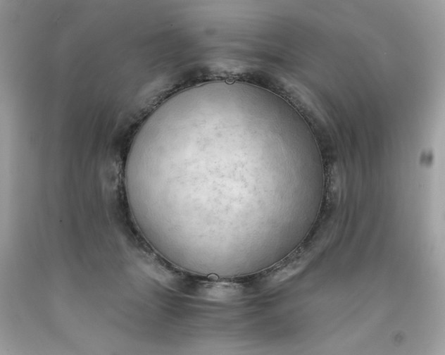 X0000091570463200709051043