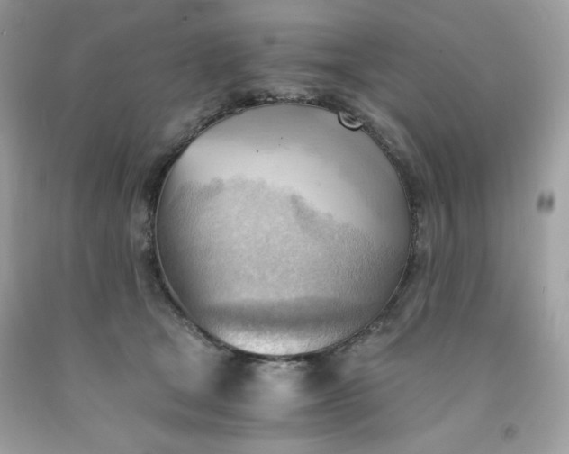 X0000091570465200709051043