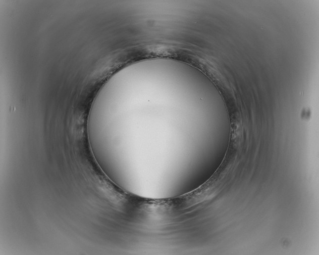 X0000091570466200709051043
