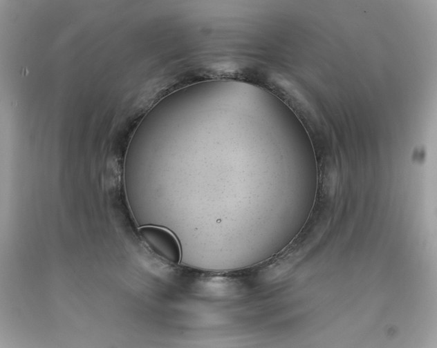 X0000091570467200709051043