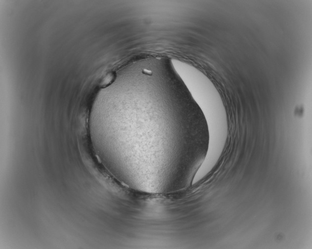 X0000091570468200709051043