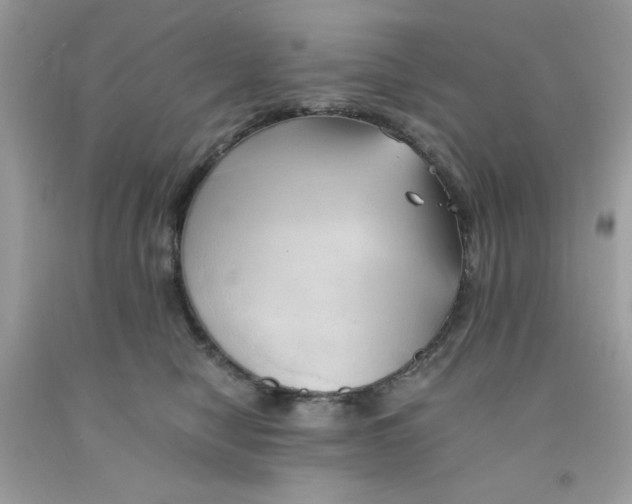 X0000091570470200709051043