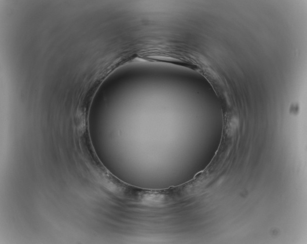 X0000091570471200709051043