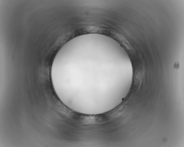 X0000091570473200709051043