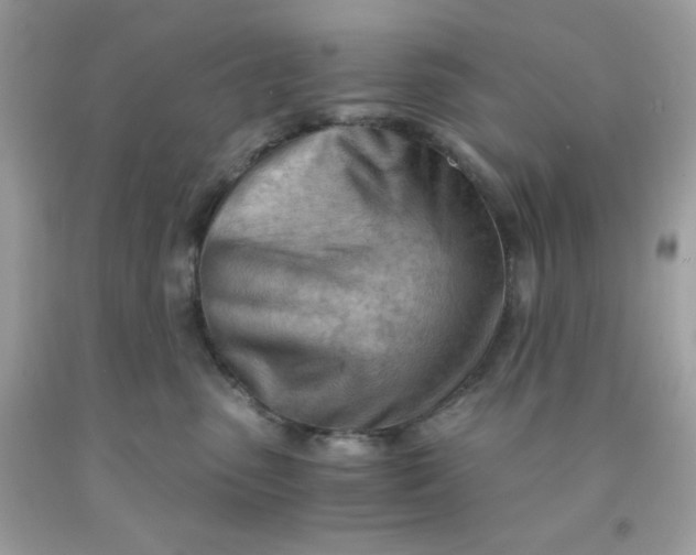 X0000091570475200709051043