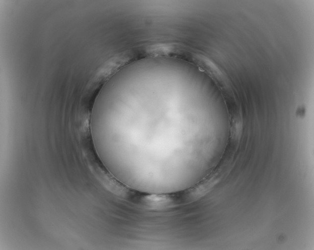 X0000091570477200709051043