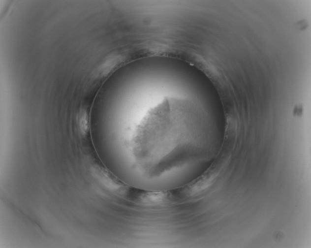 X0000091570479200709051043