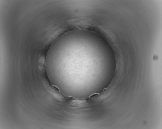 X0000091570480200709051043