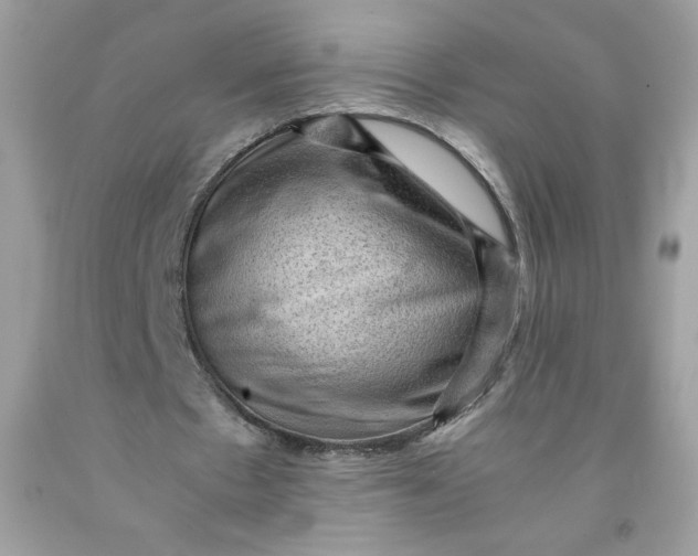 X0000091570481200709051042